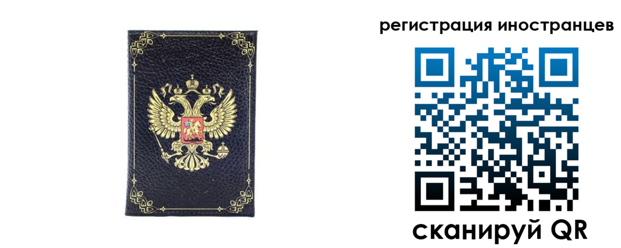 прописка для школы в Шадринске